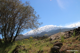 nte Egitto-29-04-2023 09-46-22